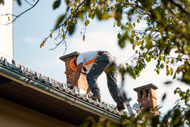 Sealant for Roof in De Graff, OH