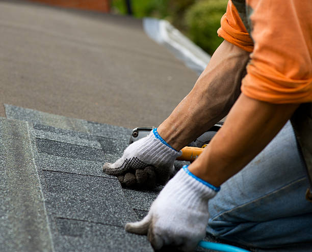 Best Local Roofing Companies  in De Graff, OH