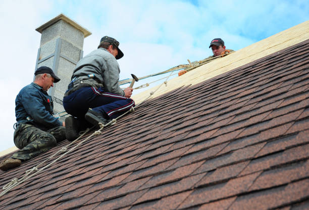 Best Gutter Installation and Roofing  in De Graff, OH