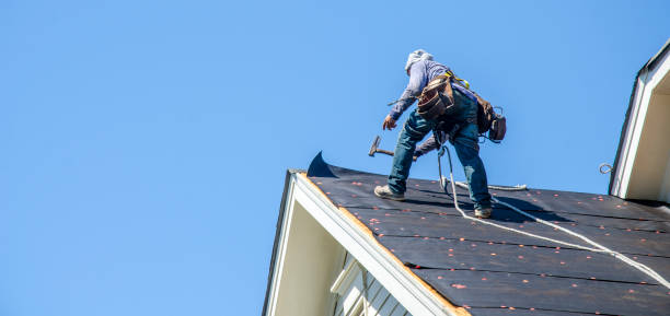 Best Storm Damage Roof Repair  in De Graff, OH